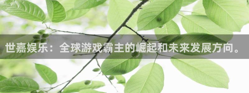 长运平台体育注册：世嘉娱乐：全球游戏霸主的崛起和未来发展方向。