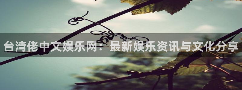 长运平台3登录：台湾佬中文娱乐网：最新娱乐资讯与文化分享