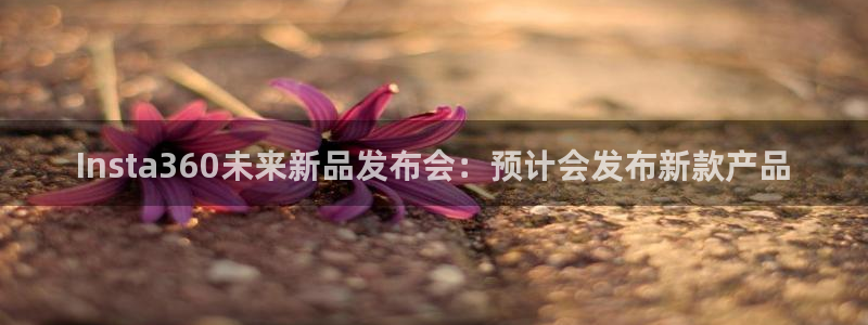 长运平台怎么下载：Insta360未来新品发布会：预计会发布新款产品