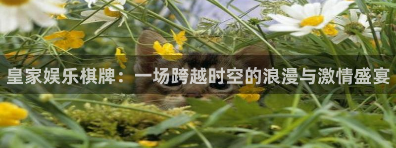 上海长运平台汽车电子有限公司：皇家娱乐棋牌：一场跨越时空的浪漫与激情盛宴