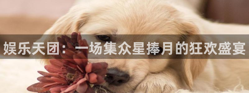 长运平台是赌博吗：娱乐天团：一场集众星捧月的狂欢盛宴