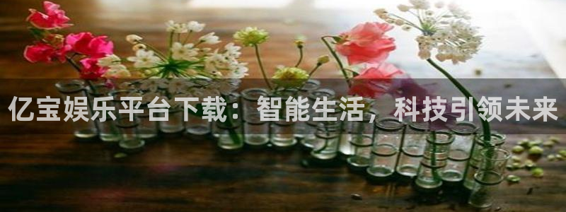 长运平台下载官网入口在哪：亿宝娱乐平台下载：智能生活，科技引领未来