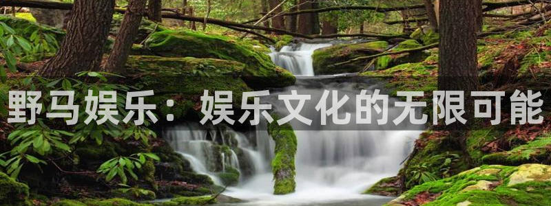 长运平台官方网站：野马娱乐：娱乐文化的无限可能