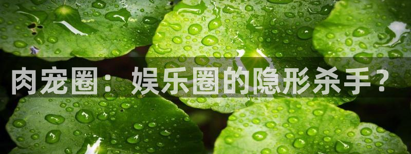长运平台凯捷开号链接：肉宠圈：娱乐圈的隐形杀手？