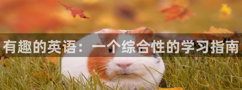 长运平台网站登录流程：有趣的英语：一个综合性的学习指南