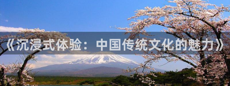 长运平台注册平台：《沉浸式体验：中国传统文化的魅力》