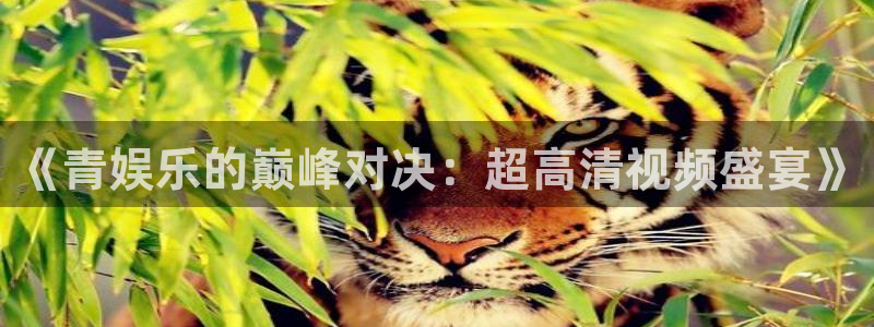 长运平台平台开户：《青娱乐的巅峰对决：超高清视频盛宴》